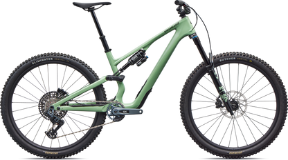 Specialized Stumpjumper 15 EVO Expert AXS – Gloss Pistachio / Dark Moss Green
