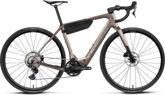 Orbea Denna M20 – Nickel (Matt) - Carbon Raw (Gloss)